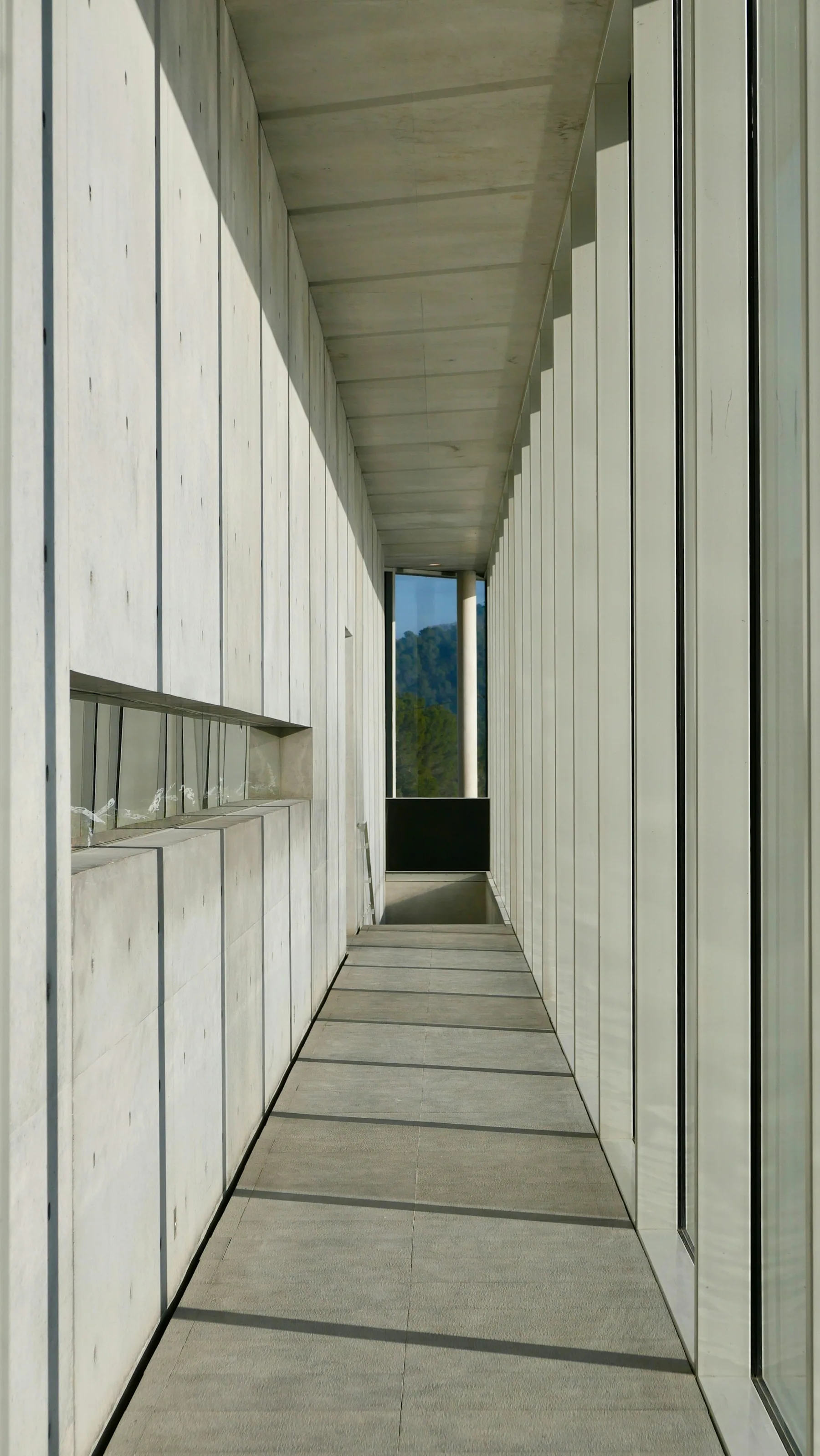 Perspective through pale concrete and glass, structured by natural light