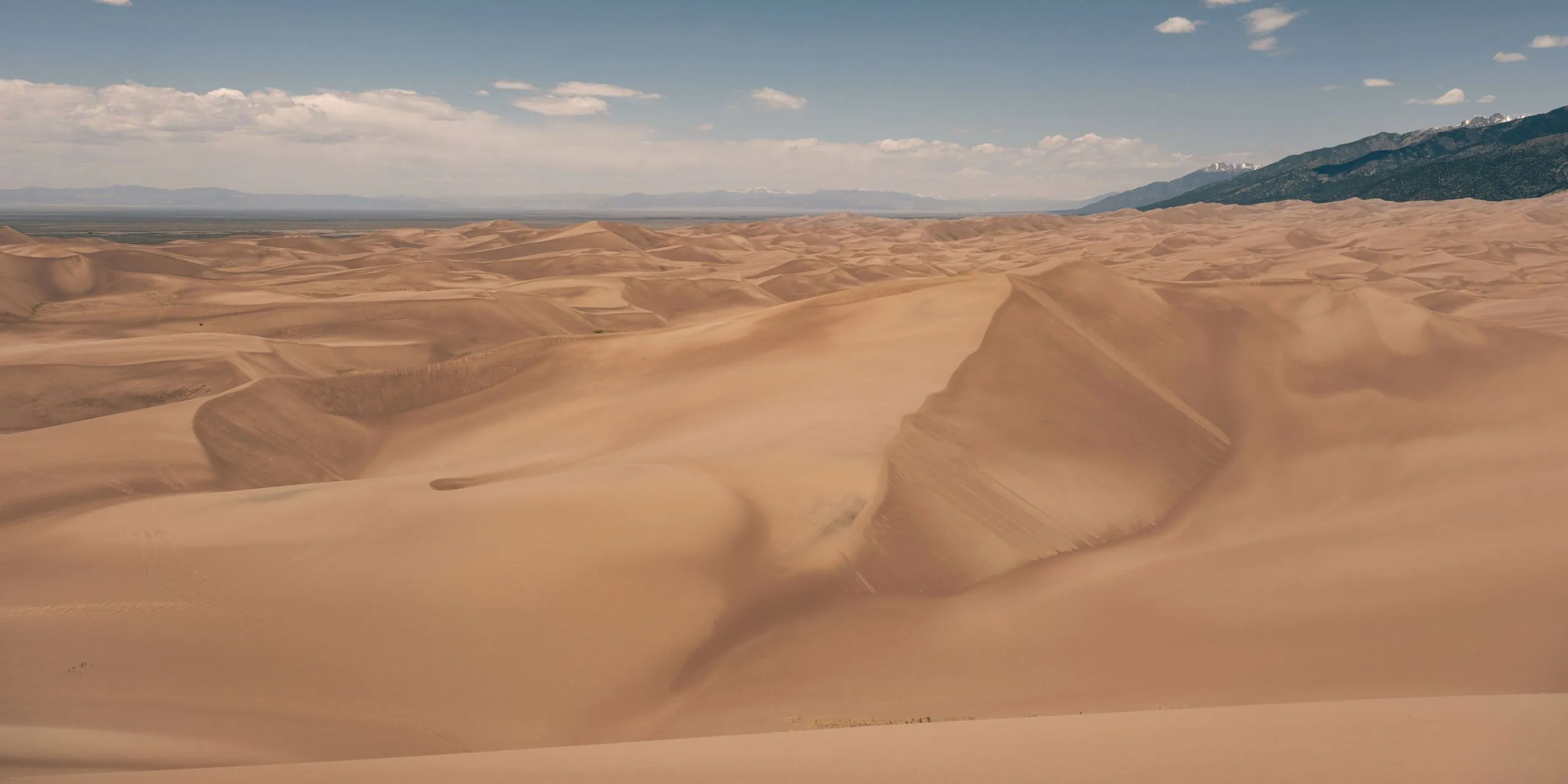 Golden sand dunes under a blue sky, stretching to the mountains on the horizon